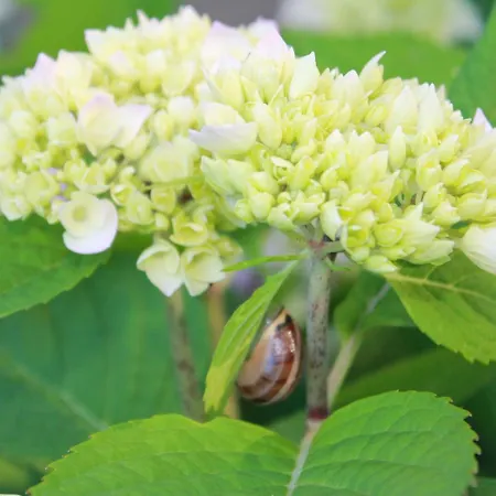 Mit Garten In 2 בית נופש רוסטוק
